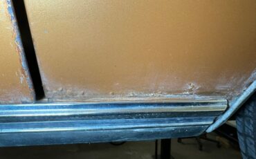 Ford-Mustang-1971-Copper-Ginger-34