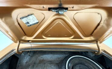 Ford-Mustang-1971-Copper-Ginger-43