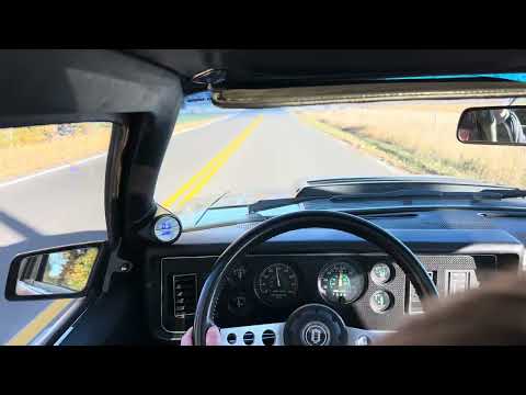 Ford-Mustang-1979-Silver-Black-1