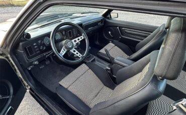 Ford-Mustang-1979-Silver-Black-14