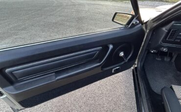 Ford-Mustang-1979-Silver-Black-16