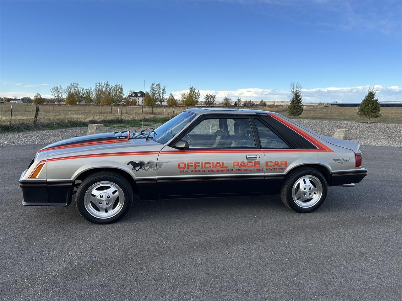 Ford-Mustang-1979-Silver-Black-2