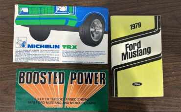 Ford-Mustang-1979-Silver-Black-20