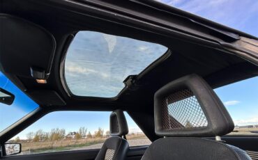 Ford-Mustang-1979-Silver-Black-26