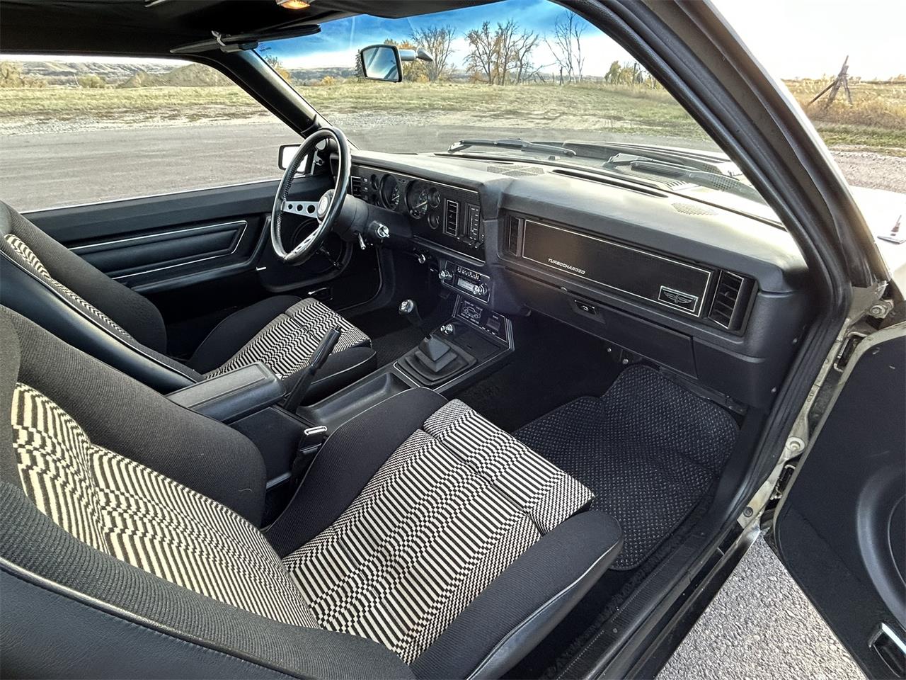 Ford-Mustang-1979-Silver-Black-27