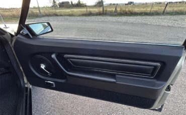 Ford-Mustang-1979-Silver-Black-29