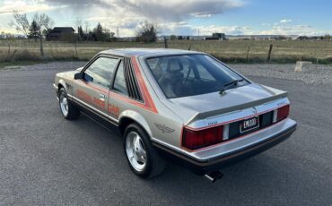 Ford-Mustang-1979-Silver-Black-3