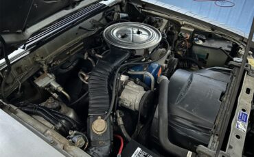 Ford-Mustang-1979-Silver-Black-31