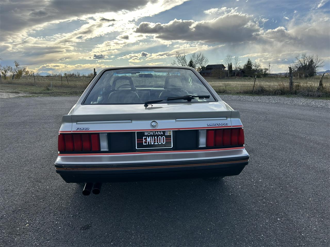 Ford-Mustang-1979-Silver-Black-4