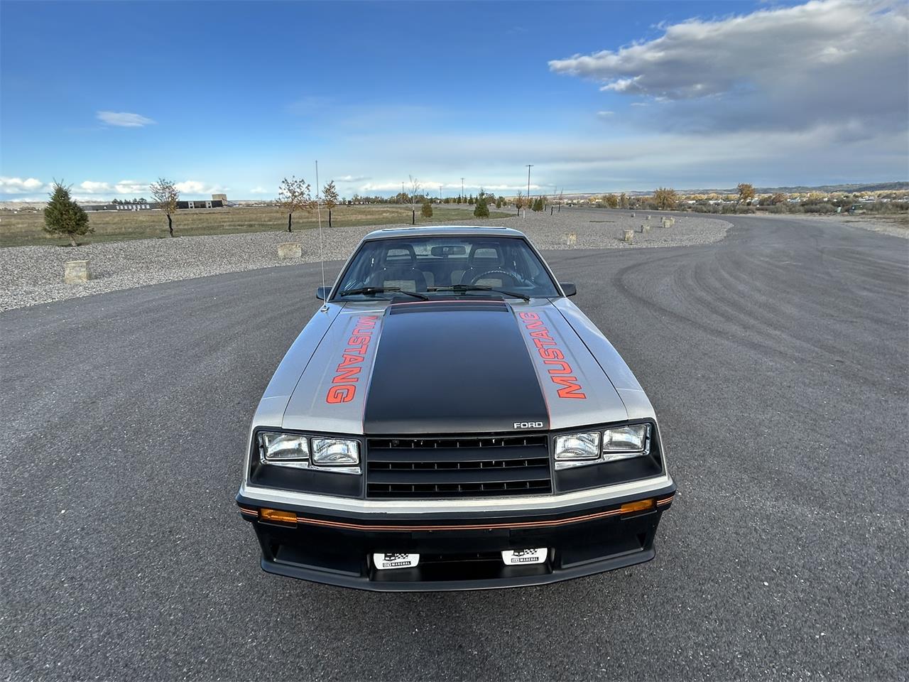 Ford-Mustang-1979-Silver-Black-8