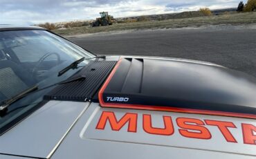 Ford-Mustang-1979-Silver-Black-9