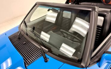 Ford-Mustang-1988-Grabber-Blue-Black-14