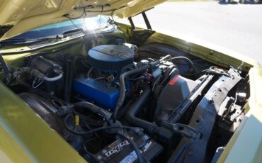 Ford-Ranchero-1973-Bright-Green-Gold-Green-15