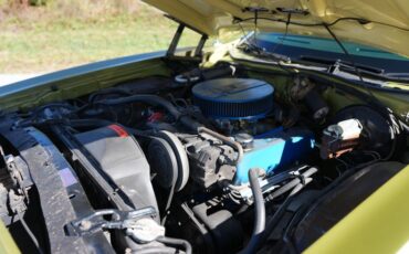 Ford-Ranchero-1973-Bright-Green-Gold-Green-39
