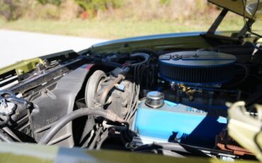 Ford-Ranchero-1973-Bright-Green-Gold-Green-40