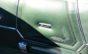 Ford-Ranchero-1973-Bright-Green-Gold-Green-44