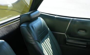 Ford-Ranchero-1973-Bright-Green-Gold-Green-45