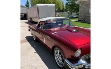 Ford-Thunderbird-1957-Kandy-Apple-Red-Gold-flake-Red-and-white-quilted-18