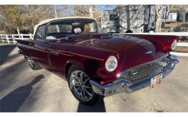 Ford-Thunderbird-1957-Kandy-Apple-Red-Gold-flake-Red-and-white-quilted-23