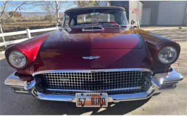 Ford-Thunderbird-1957-Kandy-Apple-Red-Gold-flake-Red-and-white-quilted-24