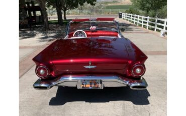 Ford-Thunderbird-1957-Kandy-Apple-Red-Gold-flake-Red-and-white-quilted-30