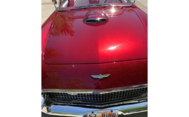 Ford-Thunderbird-1957-Kandy-Apple-Red-Gold-flake-Red-and-white-quilted-42
