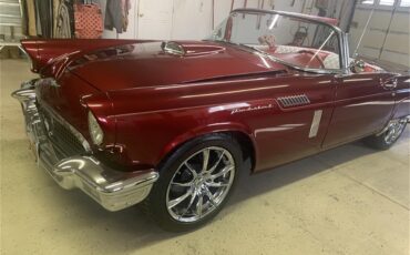 Ford-Thunderbird-1957-Kandy-Apple-Red-Gold-flake-Red-and-white-quilted-44