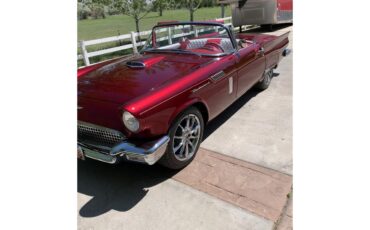 Ford-Thunderbird-1957-Kandy-Apple-Red-Gold-flake-Red-and-white-quilted-46