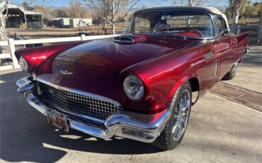 Ford-Thunderbird-1957-Kandy-Apple-Red-Gold-flake-Red-and-white-quilted-7