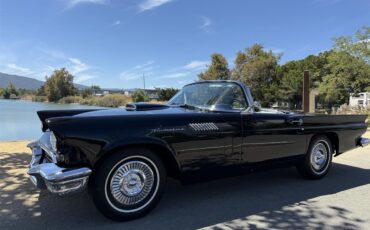 Ford-Thunderbird-1957-Raven-black-Back-and-white-2-tin-1