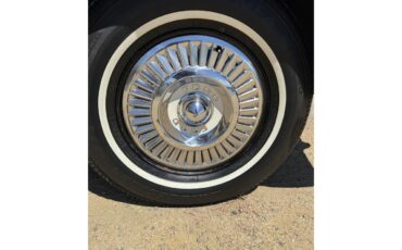 Ford-Thunderbird-1957-Raven-black-Back-and-white-2-tin-21