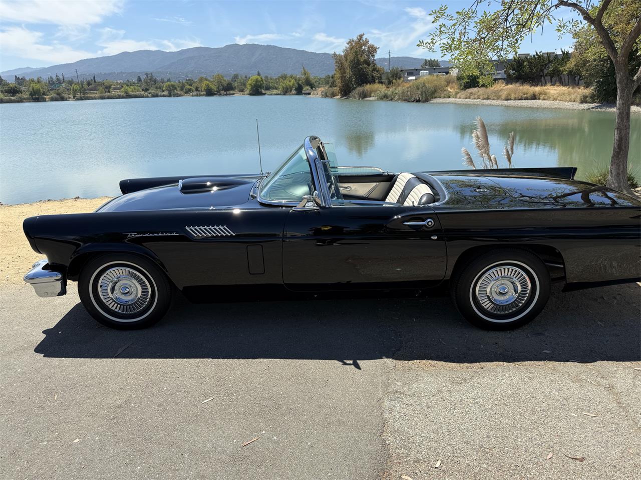 Ford-Thunderbird-1957-Raven-black-Back-and-white-2-tin-5