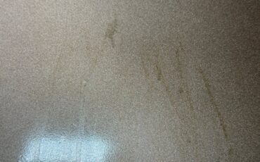 Ford-Thunderbird-1966-Sundust-Beige-Black-12