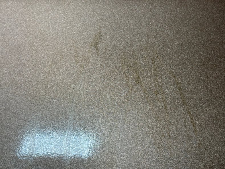 Ford-Thunderbird-1966-Sundust-Beige-Black-12