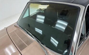 Ford-Thunderbird-1966-Sundust-Beige-Black-27