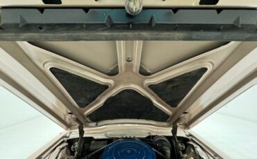 Ford-Thunderbird-1966-Sundust-Beige-Black-35