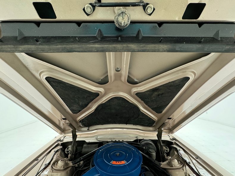 Ford-Thunderbird-1966-Sundust-Beige-Black-35