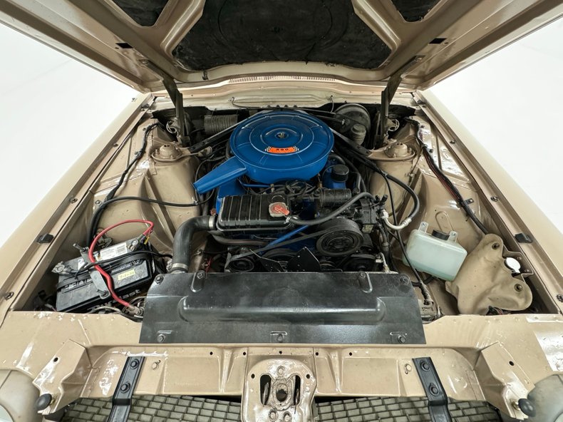 Ford-Thunderbird-1966-Sundust-Beige-Black-37