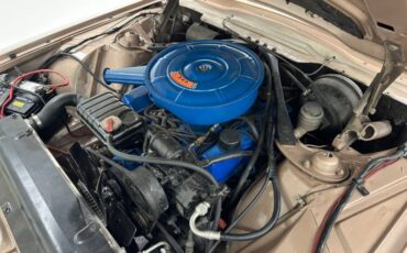 Ford-Thunderbird-1966-Sundust-Beige-Black-38