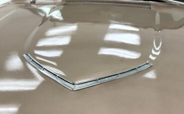 Ford-Thunderbird-1966-Sundust-Beige-Black-9