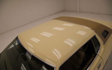 Ford-Thunderbird-1976-Cream-Cream-18