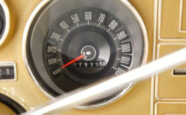 Ford-Thunderbird-1976-Cream-Cream-21