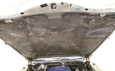 Ford-Thunderbird-1976-Cream-Cream-22