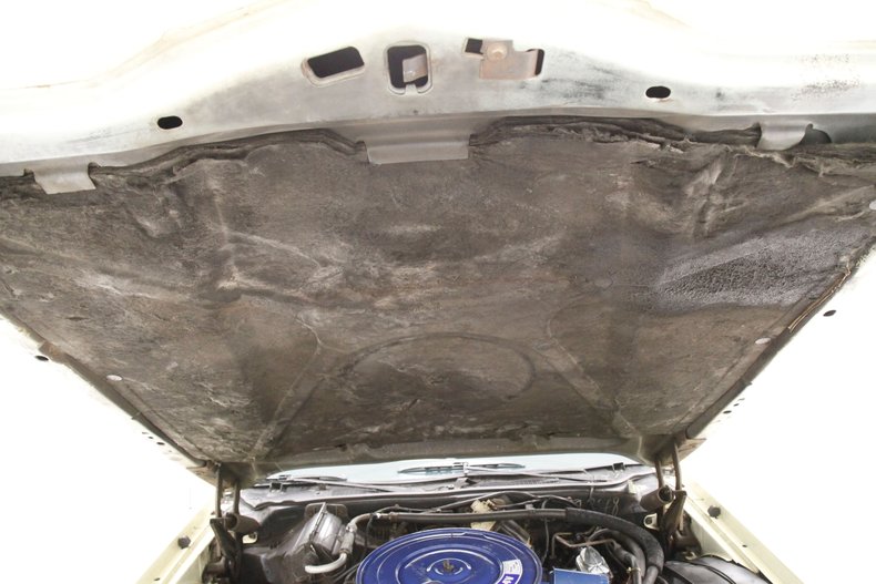 Ford-Thunderbird-1976-Cream-Cream-22