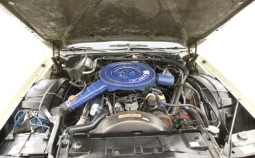 Ford-Thunderbird-1976-Cream-Cream-23