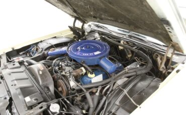 Ford-Thunderbird-1976-Cream-Cream-25