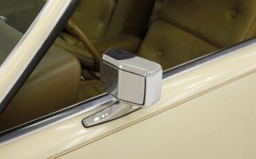 Ford-Thunderbird-1976-Cream-Cream-30
