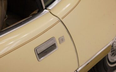 Ford-Thunderbird-1976-Cream-Cream-31