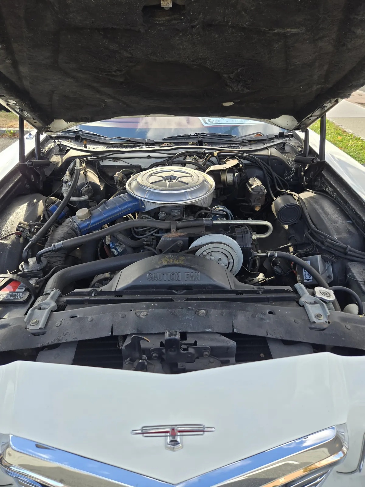 Ford-Thunderbird-1977-White-Lipstick-Red-15