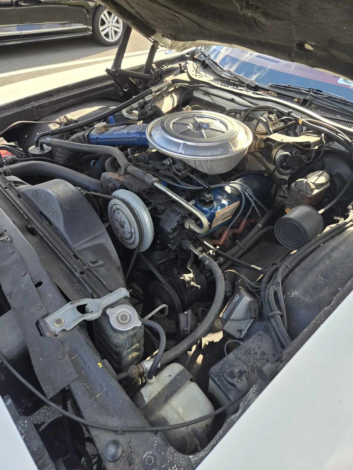 Ford-Thunderbird-1977-White-Lipstick-Red-16